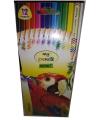 Colour Pencil WOW! (Full 12 Pencils) (1 Pcs). 