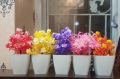 Pack of 4 Mini Plant Artificial Decoration Piece with pot Best for home & Office Decoration purpose. 