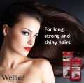 Wellice Professional Onion Anti Hair Loss Shampoo 400g. 