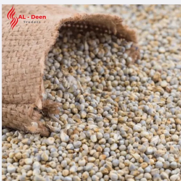 Bajra%20%D8%A8%D8%A7%D8%AC%D8%B1%DB%81%20%7C%20Premium%20Pearl%20Millet%20Seeds%20For%20all%20kind%20of%20Birds%20-%202%20KG.%20Nutrient-rich%20feed%20suitable%20for%20a%20variety%20of%20birds%20including%20parrots,%20pigeons,%20finches,%20and%20other%20pet%20birds,%20High-energy%20millet%20seed%20promoting%20freshness%20and%20value%20for%20pet%20-%20Image%207