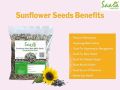 HERBAL FRESH Sunflower SeedsSurajmukhi ke Beej, Raw Sunflower Seeds, Helianthus Annuus Flower Seeds, High Protein & Fiber Rich Food, 200gms. 