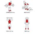 Naruto Akatsuki Fitness Boost Belt Hard Pull Up Boost Belt Strength Lifting Tool Anti Slip Assist Grip Belt Sports Wrist Guard. 