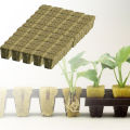 Rockwool Starter Cubes 1  for Seedling Propagation, Cloning, Rapidrooter Replacement 50 Cubes. 