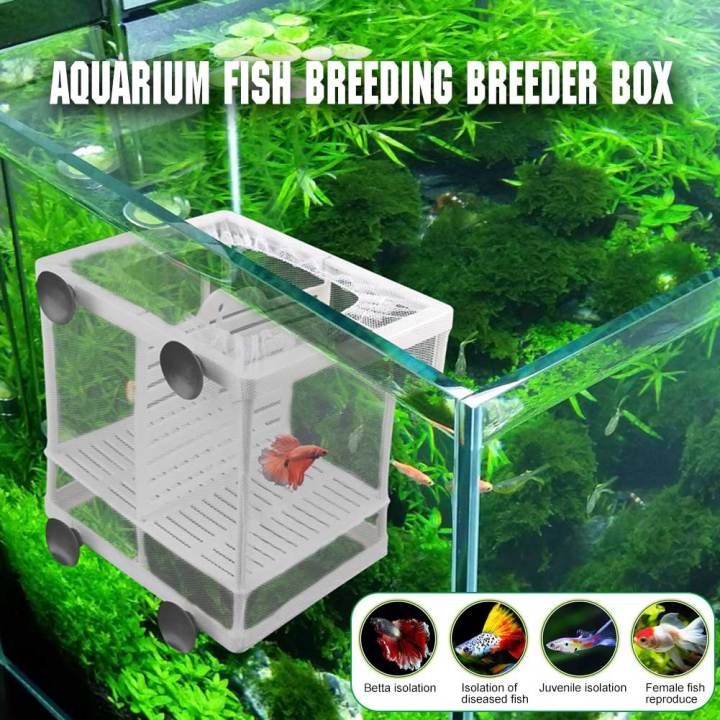 SF Aquarium Fish Breeding Breeder Box Baby Fish Hatchery Isolation Net Fish Tank Incubator Box Hanging Aquarium Accessory Supplies 308204 Daraz.pk