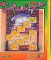 100 Azeem Muslaman Shakhsiyat / Ø³Ùˆ Ø¹Ø¸ÛŒÙ… Ù…Ø³Ù„Ù…Ø§Ù† Ø´Ø®ØµÛŒØ§Øª By Dr Akhtar Nawaz Khan. 