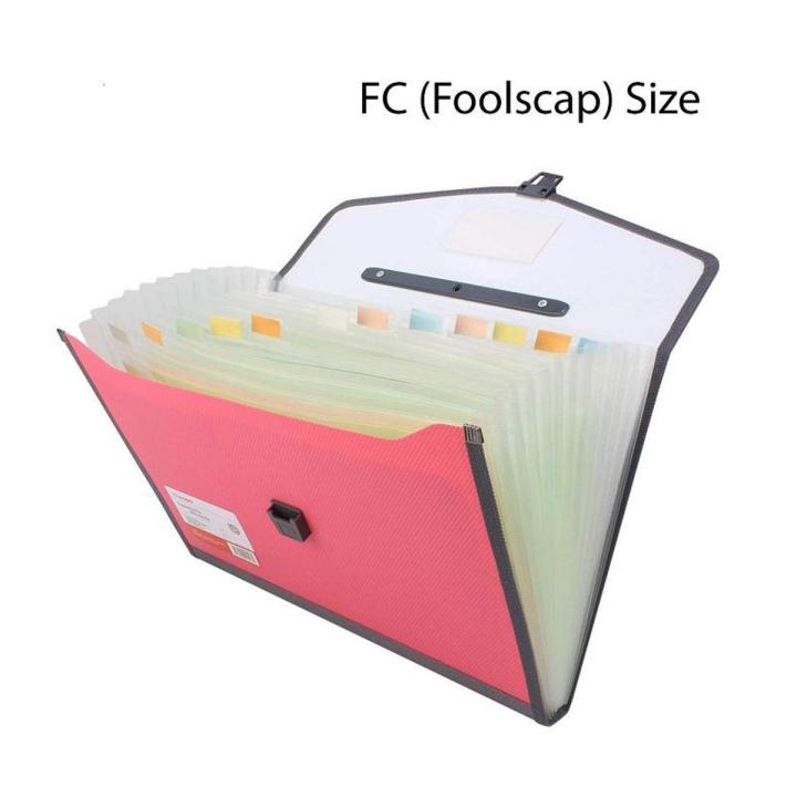 TRANBO Plastic Expanding Bag File Folder with 13 Section Pockets, FC Size, Pink