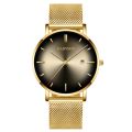 GADYSON Men Analog Display Round Dial Mesh Strap Quartz Wrist Watch. 