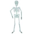 HA Halloween Decoration Halloween Props Luminous Fluorescent Skeleton. 