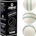 Pro Play Essentials: 5RIDGE 3PCS Soft & Safe Cricket Training Balls - Real Stitched Seam for Ultimate Bounce, Swing & Spin Mastery. 