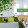 Green Artificial Wall Hanging Money Plant 7 Ft Long. 