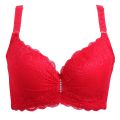 Women Female Bralette Lace Underwear Push Up Bras 80 85 90 95 100 Intimates Lace Bra Lingerie Big Size Women Bra. 