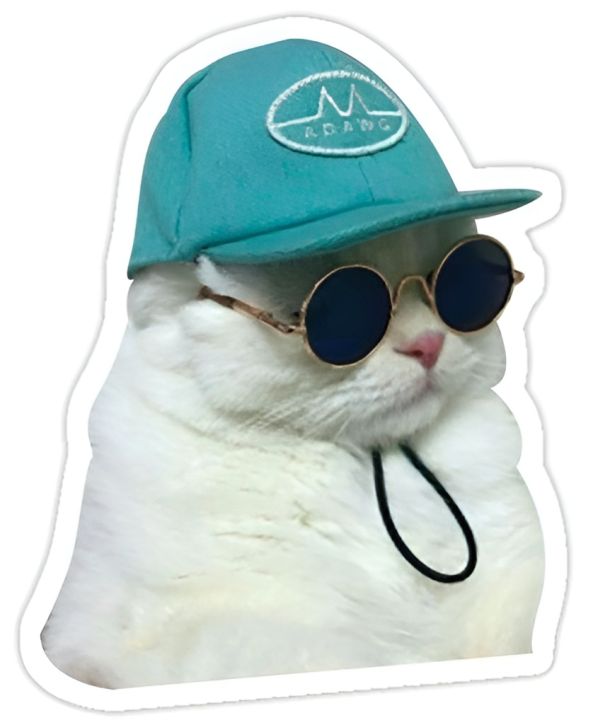Funny%20Cat%20Meme%20Stickers%20Pack,%20Digital%20Funny%20Cat%20Memes,%20Viral%20Funny%20Cats,%20Laptop%20Stickers,%20Mobile%20Stickers,%20Decals.%20Phone%20Stickers%20-%20Image%204