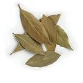 Tezz Patta /Tez Paat/Bay leaf 20g. 
