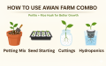 0.5kg – 8kg | Perlite & Rice Husk Deal | Soil Aeration Combo | For Ultimate Drainage, Root Growth & Moisture Retention | Ideal for Potting Mix, Succulents & Cuttings | Mix with Cocopeat, Compost, Vermicompost & Potting Mix | 0,5kg, 1kg, 2kg, 3kg, 5kg, 8kg. 