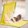 Mouse Trap, Rat/Mice/Mouse Glue Traps, Rat Traps Sticky Boards, New Version Strongly Adhesive, Mouse Traps That Work Capturing Indoor and Outdoor Rat Cockroach Ant. 