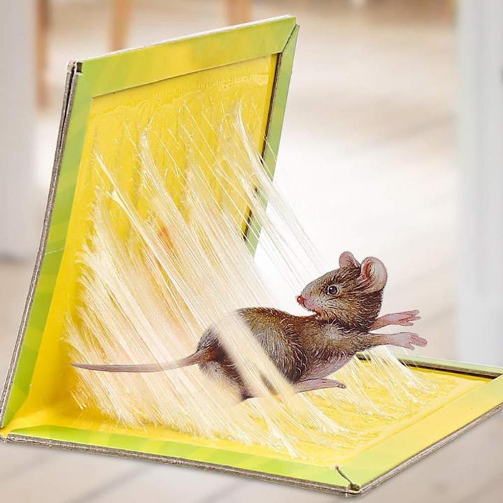 Mouse Trap () Mouse Trap