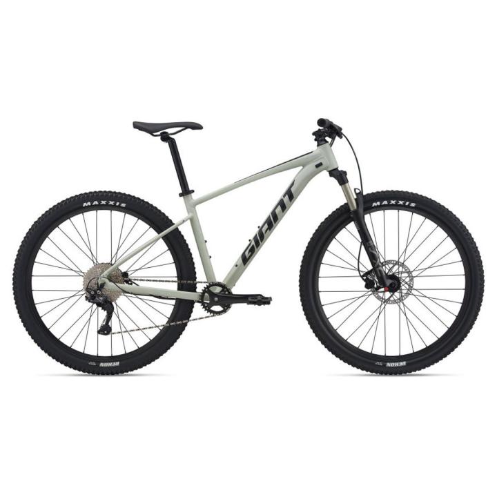 Bicycle - Giant Talon 1 29er / Medium / Desert Sage - 2101105425