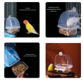 Bird External Hanging Feeder and Drinker, Bird Feeder, Bird Drinker, Bird Cage Hanging Feeder Drinker, Lovebird, Cockatiel, Budgies ,Canary and Similar small and Medium size birds. 