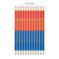 Picasso Checking Pencils Pack of 12 Pencils - Blue Checking - White Pencil-  Red Pencil -Yellow Pencil - Red and Blue Pencil - Set Of 12 High Quality Pencils - Office Stationery - School Stationery. 
