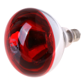 100W Infrared Heat Lamp Bulb Red Light Heat Bulbs 220V for farm Eggs Incubator Hatcher Hatching. 