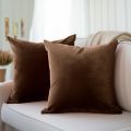 2 Pcs Plain Velvet Cushion Covers Soft Velvet Fabric on Both Sides With Side Zip Cushion Covers for Spring Sofa, Living Room, Couch, Bed, Home Decor | Cushion |-16"x16"Inch By Comfynook. 