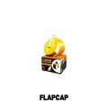 FLAPCAP Sewer Flap Valve. Plastic Manhole Sealer (pipe size 4 inches).. 