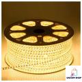 220V Golden Flexible Rope Led Strip light Water Proof and multiple sizes to choose for indoor and outdoor use long life bulbs rope lights With Adaptor Free. 