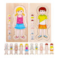 WOODEN FUN Human Body Puzzles for Kids 3-5,Wooden Montessori Anatomy Play Set, Human Body Model Puzzle for Preschoolers and Kids Ages 3+ (Girls)36 pcs. 