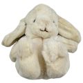 Rabbit Toy - 7 Inch - Stuffed Toys - White Color - Unisex. 