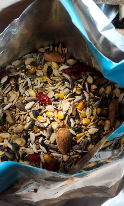 Premium%20Seed%20Mix%20For%20Big%20Parrots%20(Birdie)%20(Parrot%20Food)%20(Bird%20food)%20(Parrot%20feed)%20(1kg)%20-%20Image%203