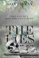 The Lies We Steal (The Hollow Boys, #1) by Monty Jay. 