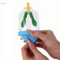 Kids Teaching Lung Demonstration Model Lung Respiration Model Experiment Classroom Teaching for. 