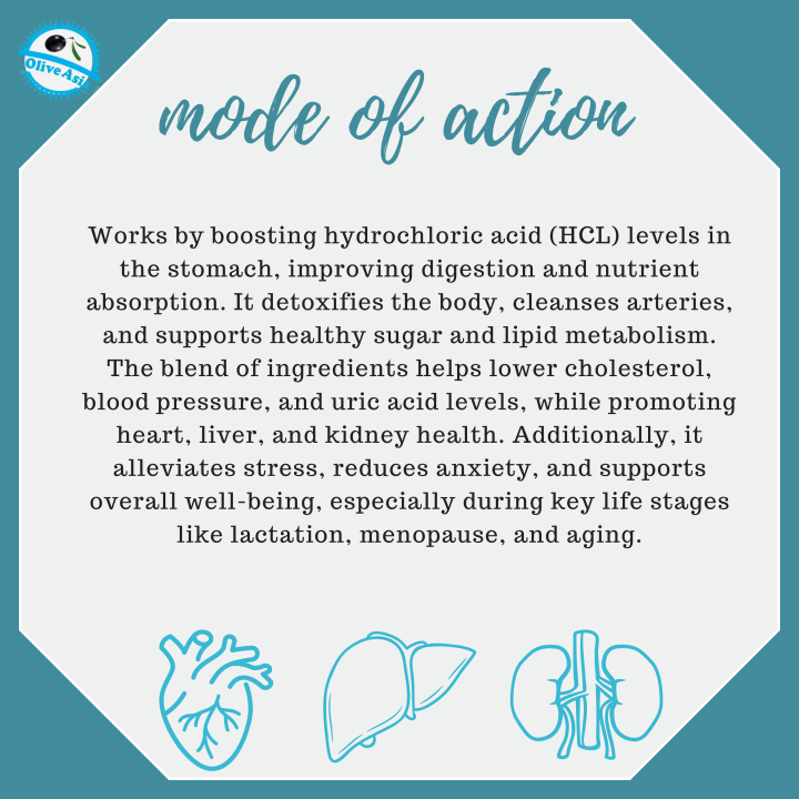 Olive%20Asia%20Apple%20Cider%20Vinegar%20800%20ml%20Balance%20Lipid%20Metabolism,%20%20Cleans%20Arteries,%20Reduces%20High%20BP,%20And%20Oxidative%20Stress%20-%20Image%206