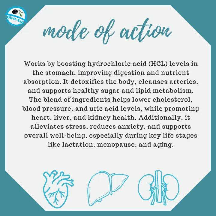 Olive%20Asia%20Apple%20Cider%20Vinegar%20800%20ml%20Balance%20Lipid%20Metabolism,%20%20Cleans%20Arteries,%20Reduces%20High%20BP,%20And%20Oxidative%20Stress%20-%20Image%206