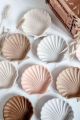 Shell collection display -Coastal decor tray - Seashell organizer - Beach-themed Tray - Sea shell tray. 