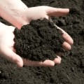 Cow Dung Manure (1-Kg). 
