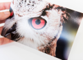 Ecotone RC Luster Inkjet Photo Paper 4R 4 X 6 Inches 260 gm 100 sheets. 