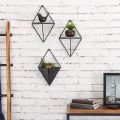 Indoor Wall Planter and Wooden Wall Display Shelves with Black Metal Frames Metal. 
