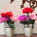 buy01plant get 01 plant free size 7inches Multi Gada Mini Plant Artificial Decoration Piece with pot Best for home & Office Decoration purpose. 