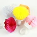 WEDDING PARTY DECORATION RING SHAPE HONEYCOMB HANGING ( 30 CM IN SIZE ). 