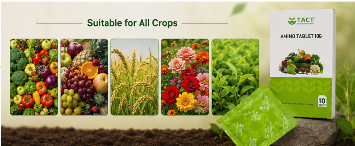 Rice Enhancer 10G Amino Acid Tablet | Plant Growth Promoter | Biostimulant Fertilizer ...