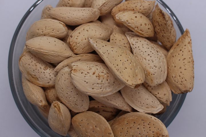 Abdul%20Wahidi%20Almonds%20with%20Shell%20%7C%20Abdul%20Wahidi%20Badam%20250%20grams%20pack,%20Fresh%20Quality%20by%20NM%20Dry%20Fruits%20since%201960%20-%20Image%202