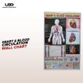 Human Heart and The Blood Circulation System Wall Chart | HD picture Presentation on 200 grams Laminated card 23*36 inches. 