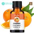 DR BEI Essential Oil Natural Ingredients Cypress Pine Needles Essential Oil. 
