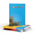3 piece Promotion Card Register for writing 400 No Good Quality pages by Dr. Saifuddin Single line Rgister. 