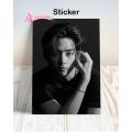 Kim Taehyung V Bts Sticker Poster For Wall Decor. 