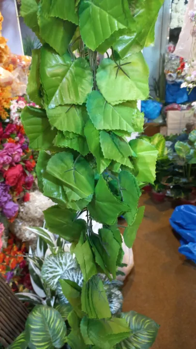 Pack%20of%2012%20Artificial%20Money%20Plant%20Leaf%20Bails%208ft%20Length%20Green%20Hanging%20Garland%20for%20Home,%20Office,%20Wedding,%20and%20Festival%20Decoration%20-%20Image%205