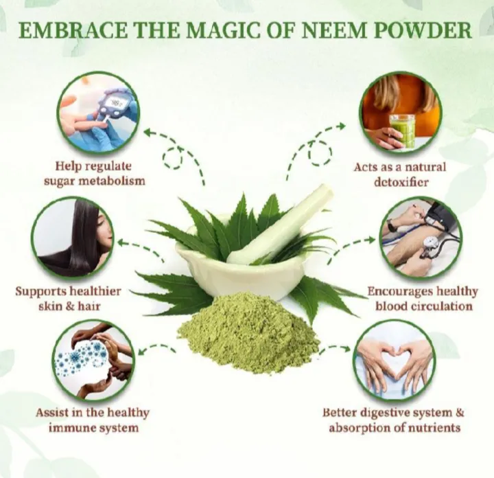 Neem Patta 200g – Natural Dried Neem Leaves / 100% Pure & Natural Neem ...