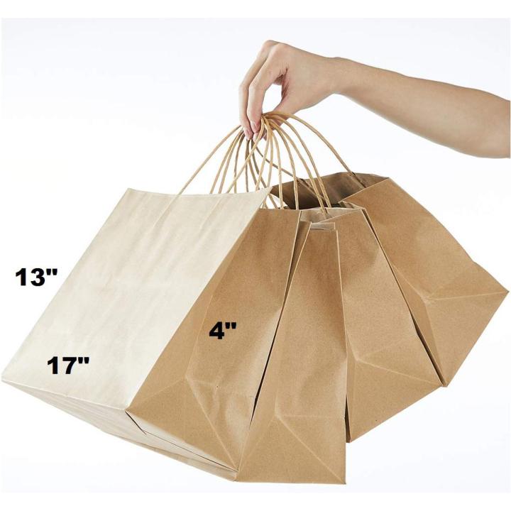 Pack of 10 Paper Bags 17 X 13 X 4 Gift Bags Party Bags Shopping Bags Kraft Bags Retail Bags Merchandise Bags Brown Paper Bags with Handles Bulk 110Grams Daraz.pk