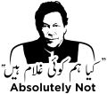 Imran khan Absolutely Not Urdu plastic Stencil  Amazing Design For Wall 18x18 inches. 